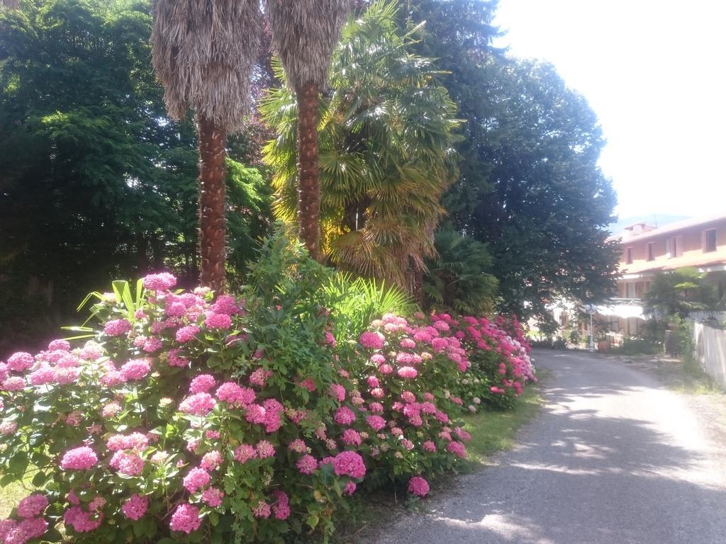 Hotel Le Mas Fleuri Vernet-les-Bains Exterior photo